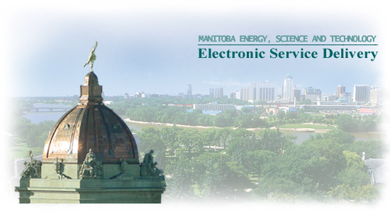 Electronic Service Delivery